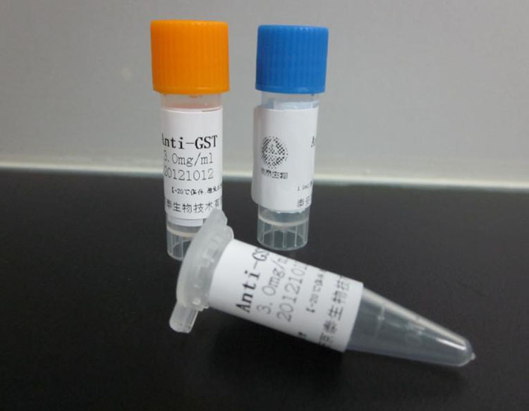  巨翼化工品國際貨代如此厲害的原因！